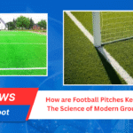 How are Football Pitches Kept So Green