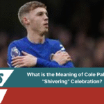 Meaning of Cole Palmer's "Shivering" Celebration