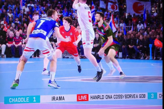 Best TV channels for IHF World Cup